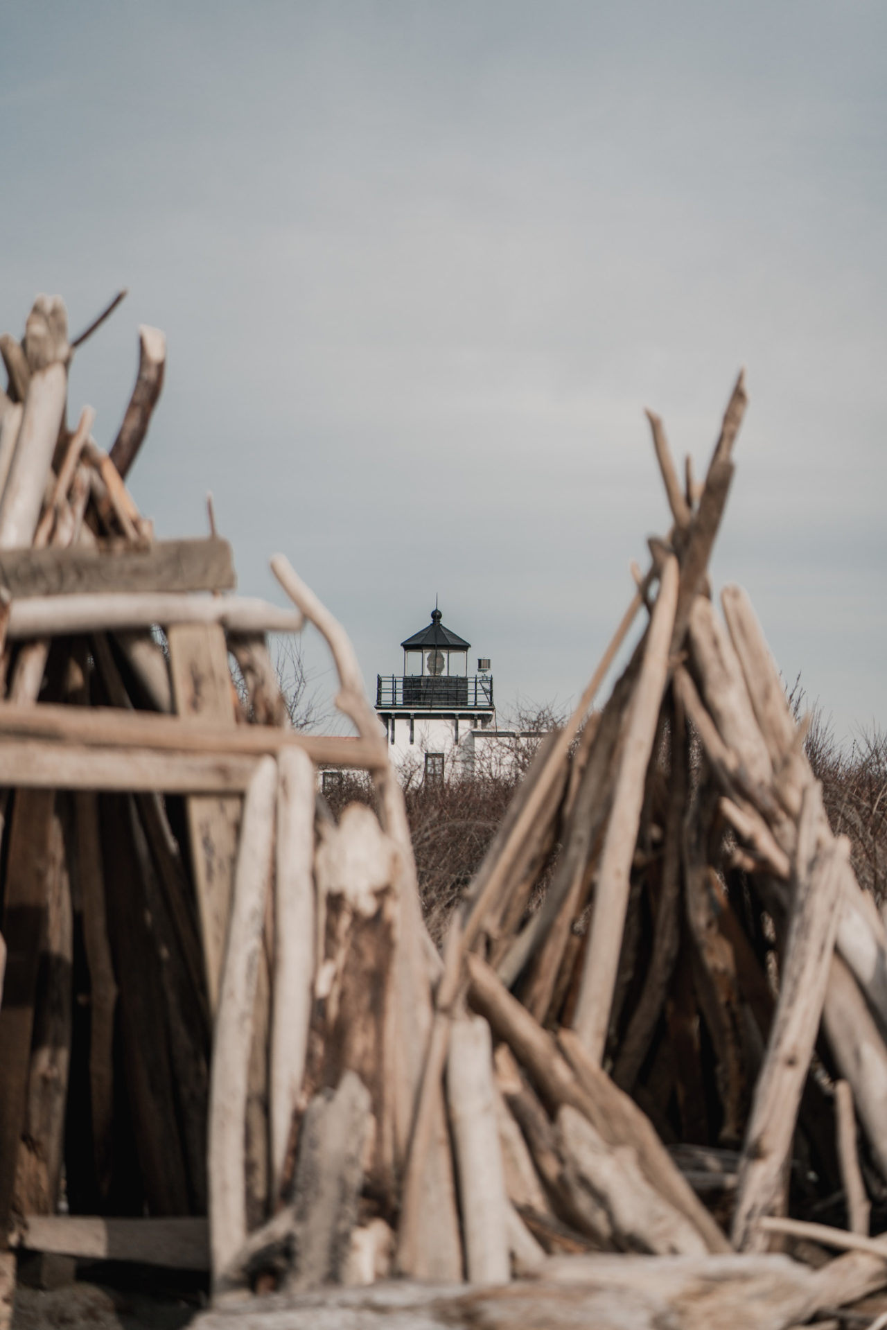 The Ultimate Guide to Clamming in Washington & Best Locations Style