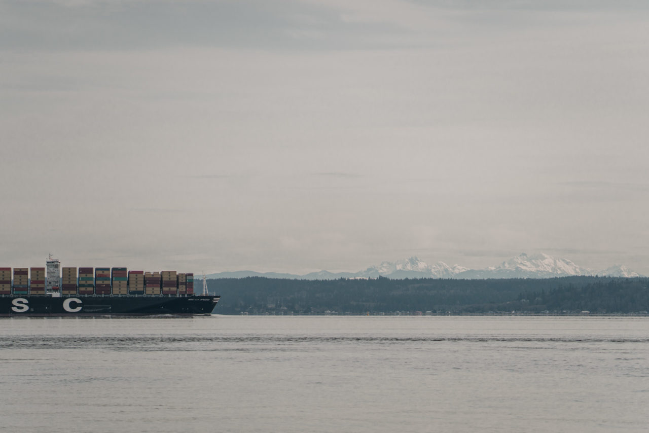 The Ultimate Guide to Clamming in Washington & Best Locations Style