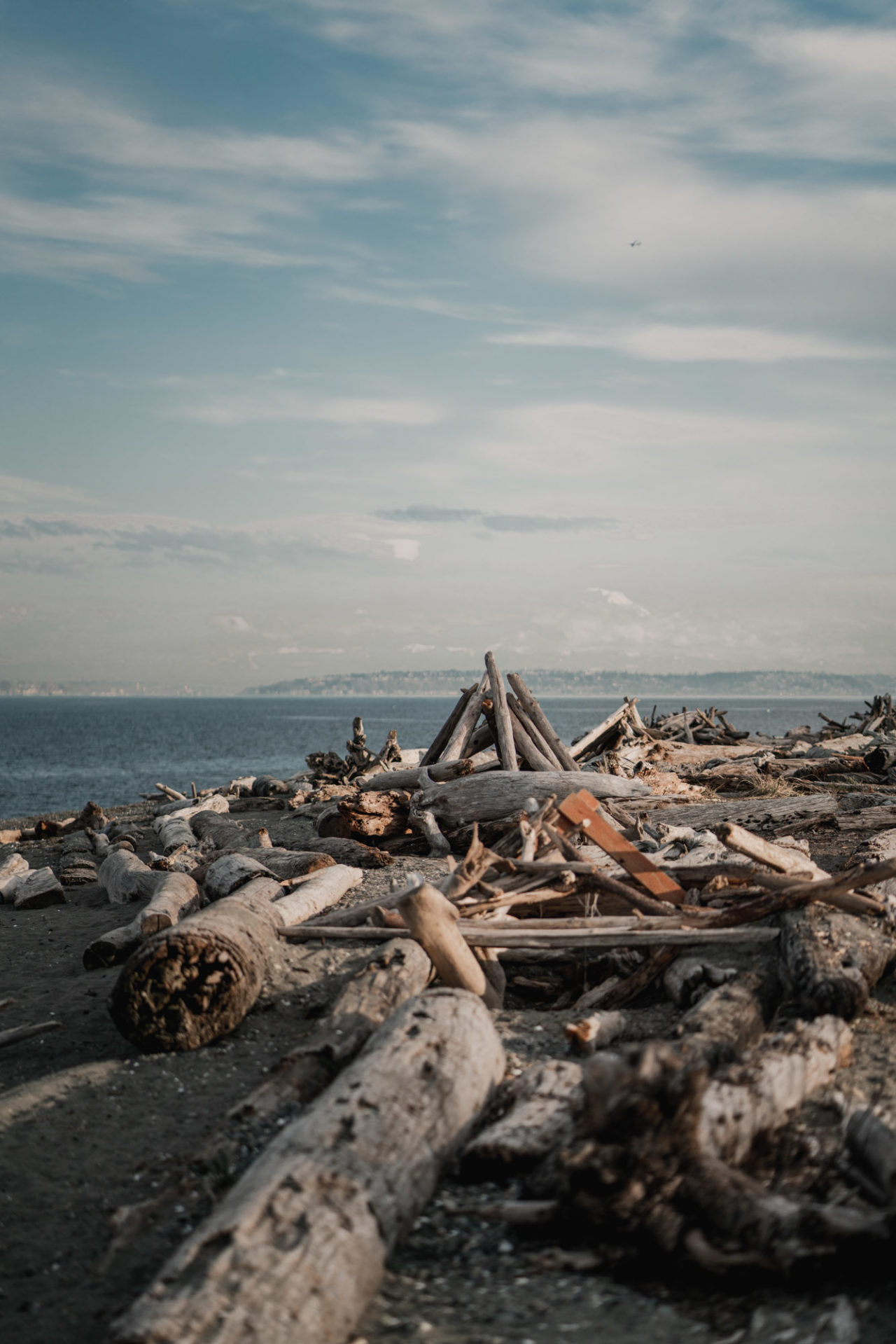 The Ultimate Guide to Clamming in Washington & Best Locations Style