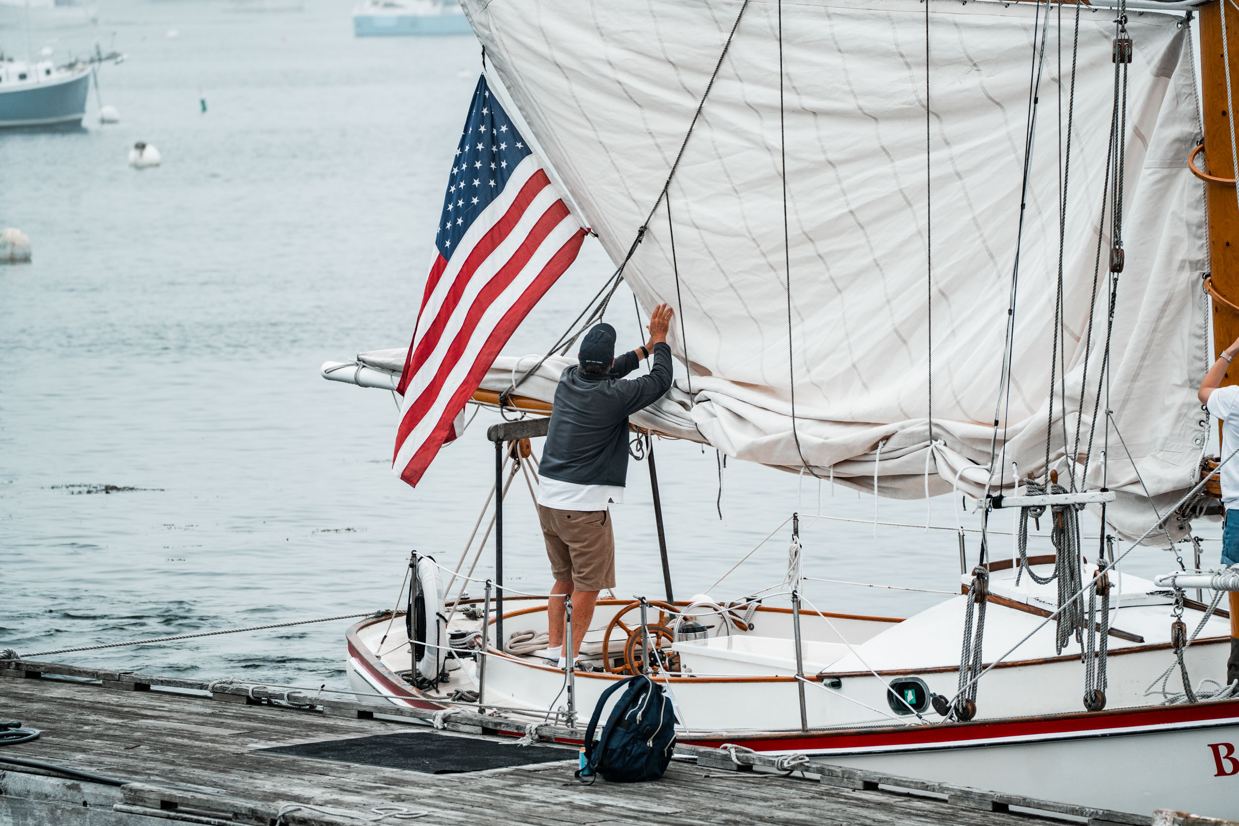 style and senses an trieu boothbay harbor cap and fish puffin whale watch cruise maine