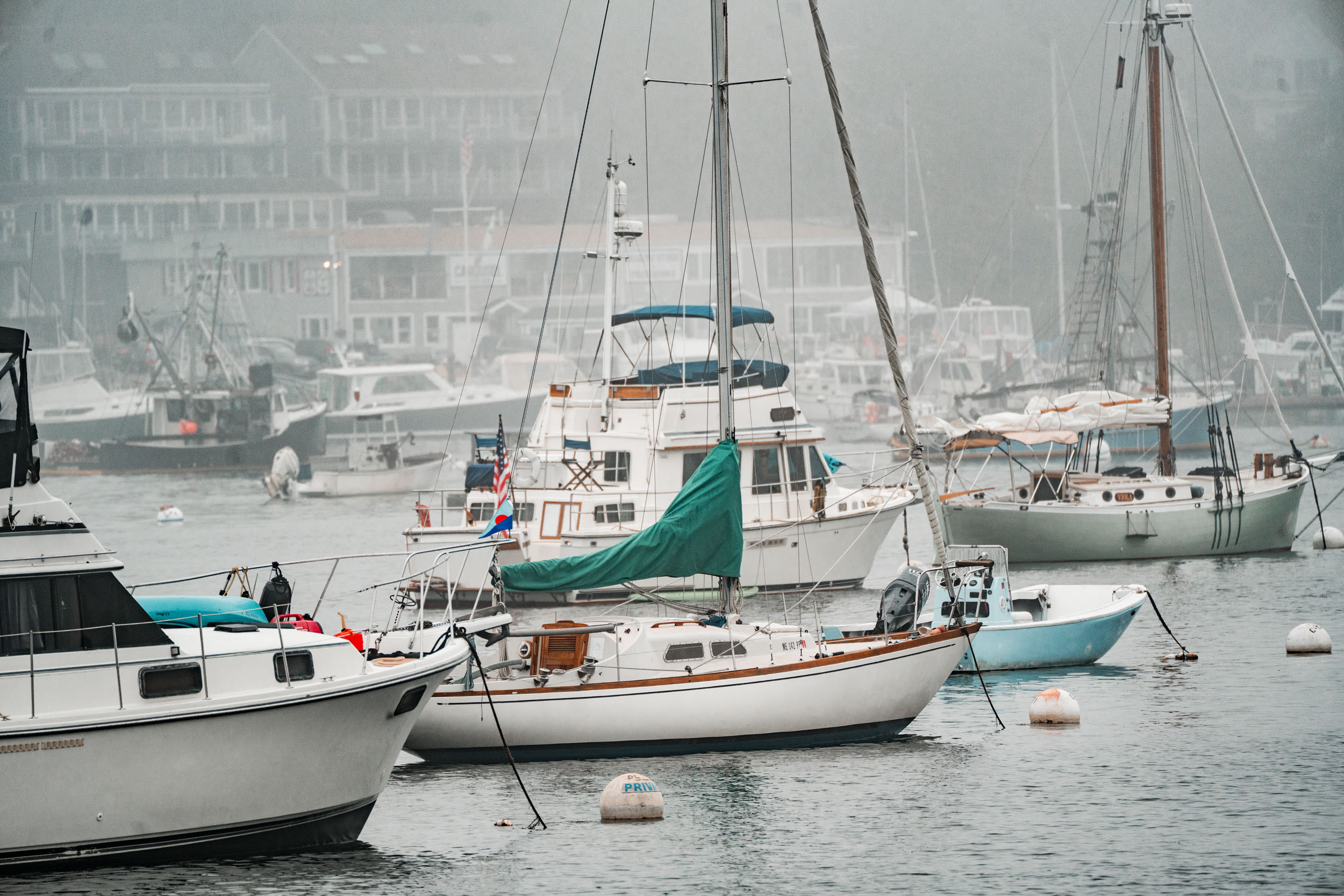 style and senses an trieu boothbay harbor cap and fish puffin whale watch cruise maine