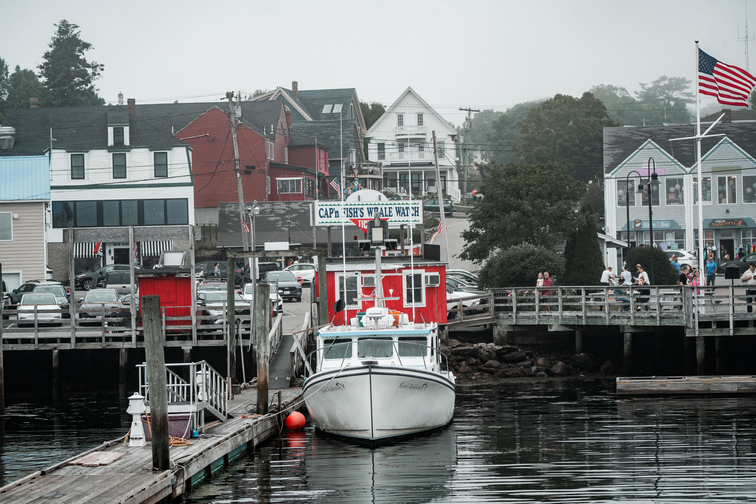 style and senses an trieu boothbay harbor cap and fish puffin whale watch cruise maine