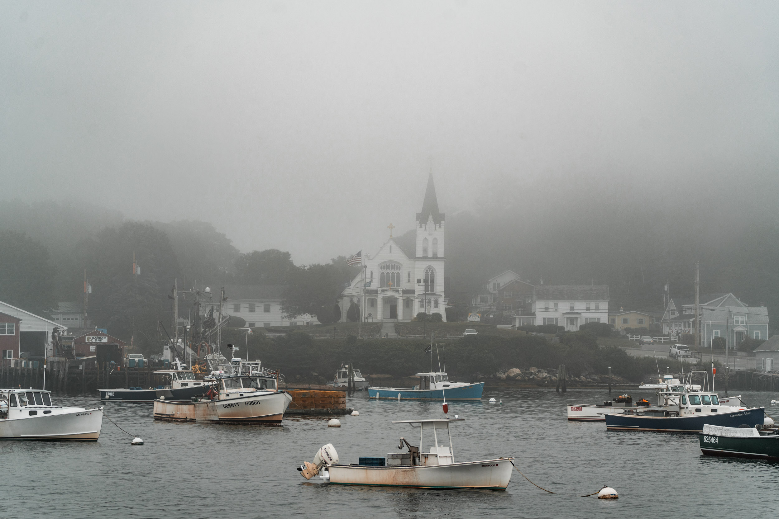 style and senses an trieu boothbay harbor cap and fish puffin whale watch cruise maine