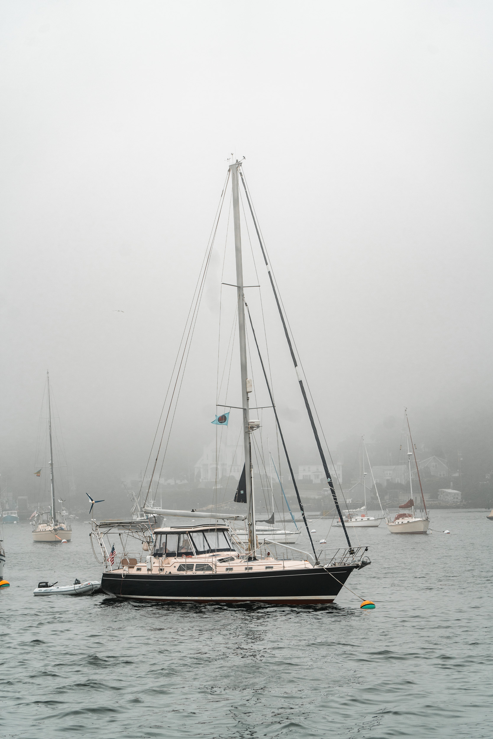 style and senses an trieu boothbay harbor cap and fish puffin whale watch cruise maine