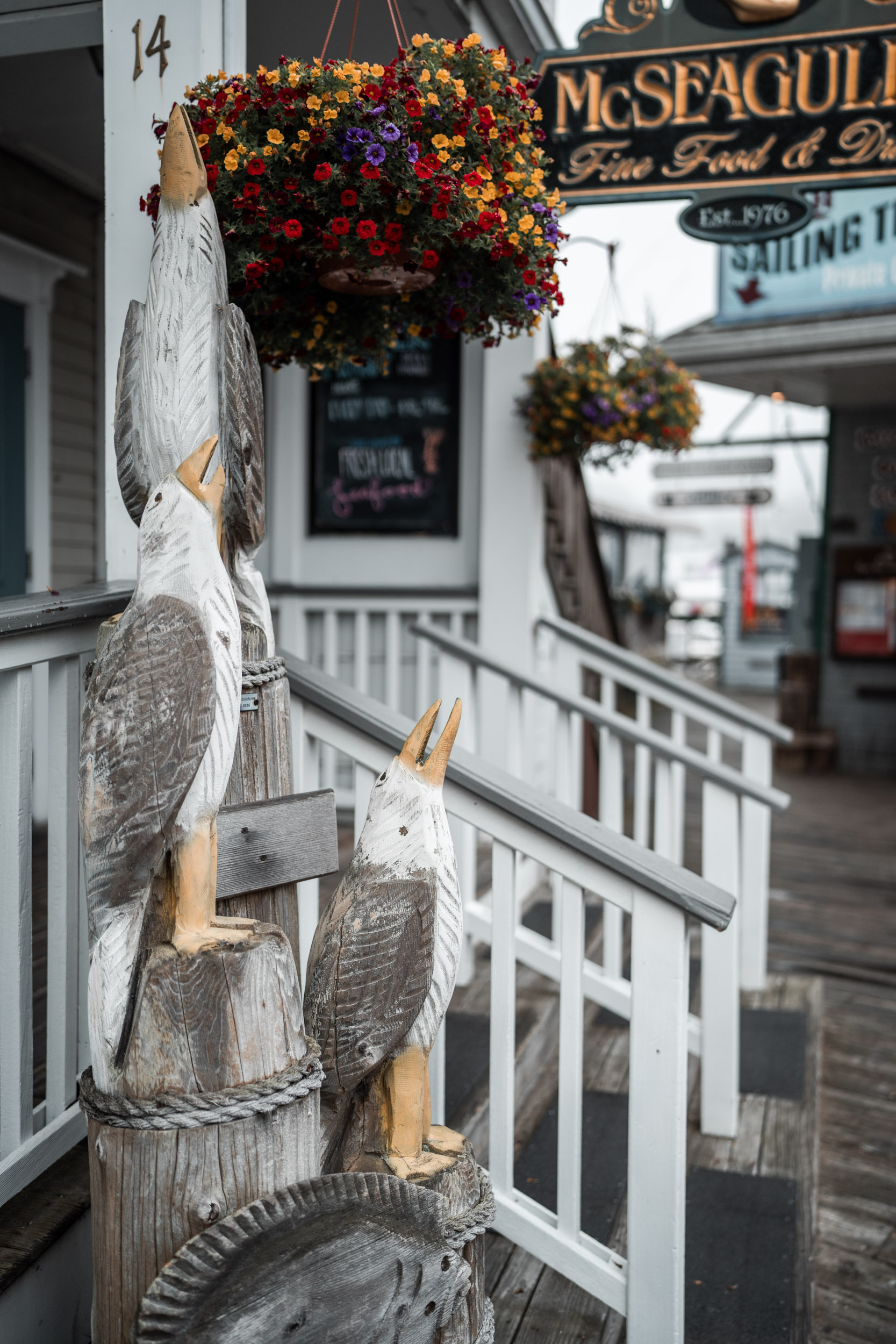 style and senses an trieu boothbay harbor cap and fish puffin whale watch cruise maine