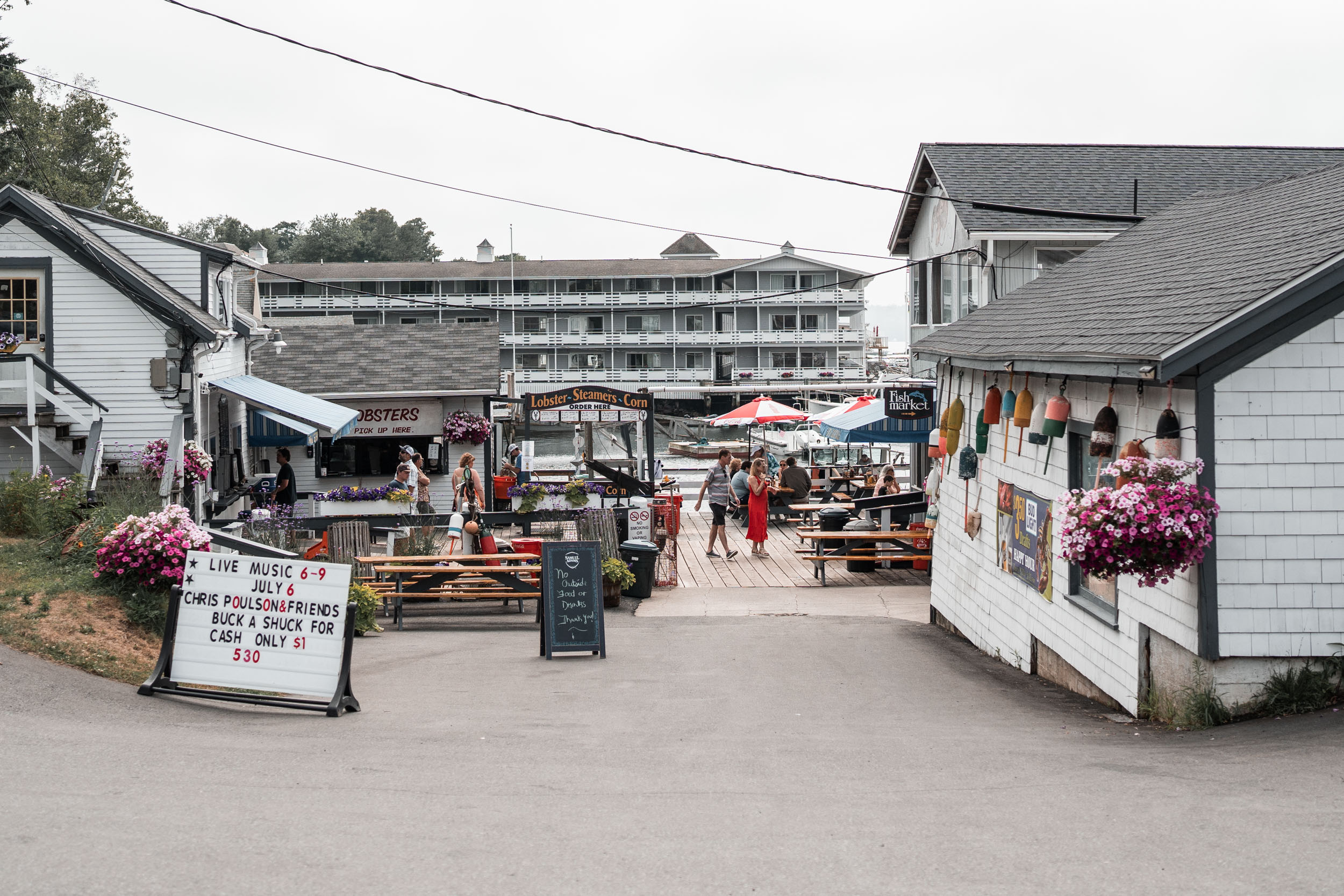 style and senses an trieu boothbay harbor cap and fish puffin whale watch cruise maine