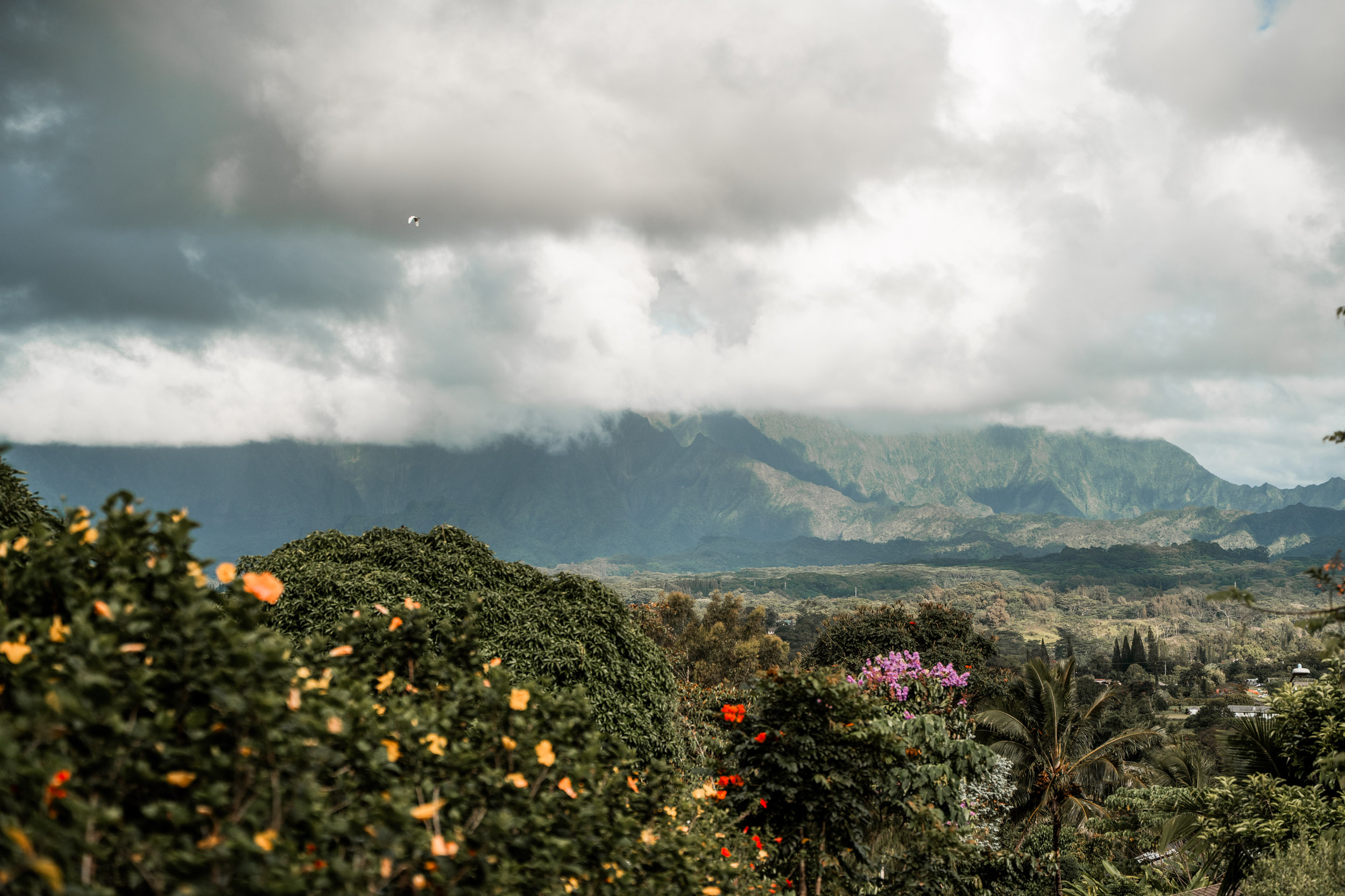 style and senses an's list an trieu kauai hawaii 2025 napali coast june travel diary captain andy's boat sunset tour hanalei bay sleeping giant