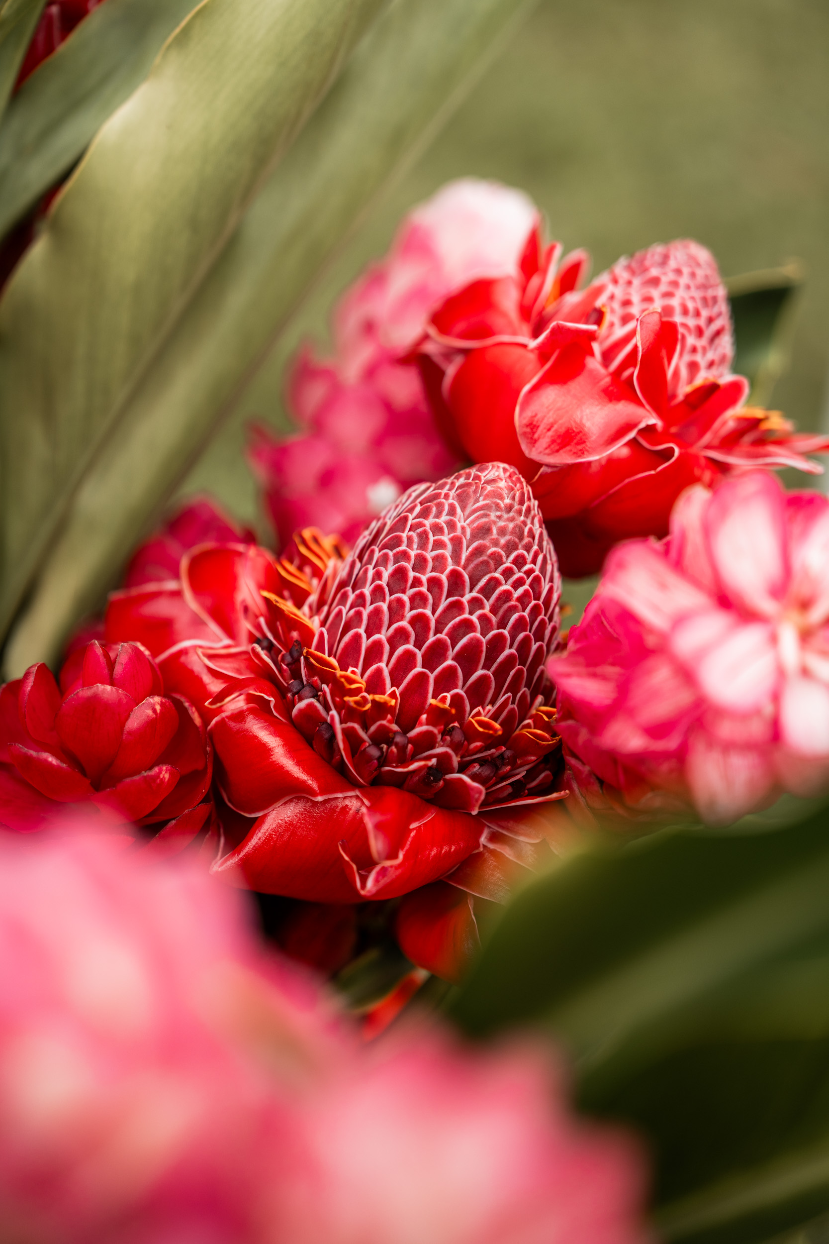 style and senses an's list an trieu kauai hawaii 2025 napali coast june travel diary captain andy's boat sunset tour hanalei bay sleeping giant farmer's market lihue