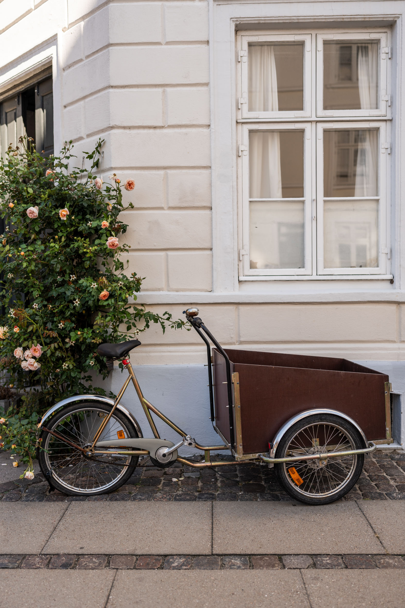 Style & Senses An Trieu Copenhagen Stockholm Amsterdam September 2025 Europe travel NYC NYBORDER NYHAVN bikes biking