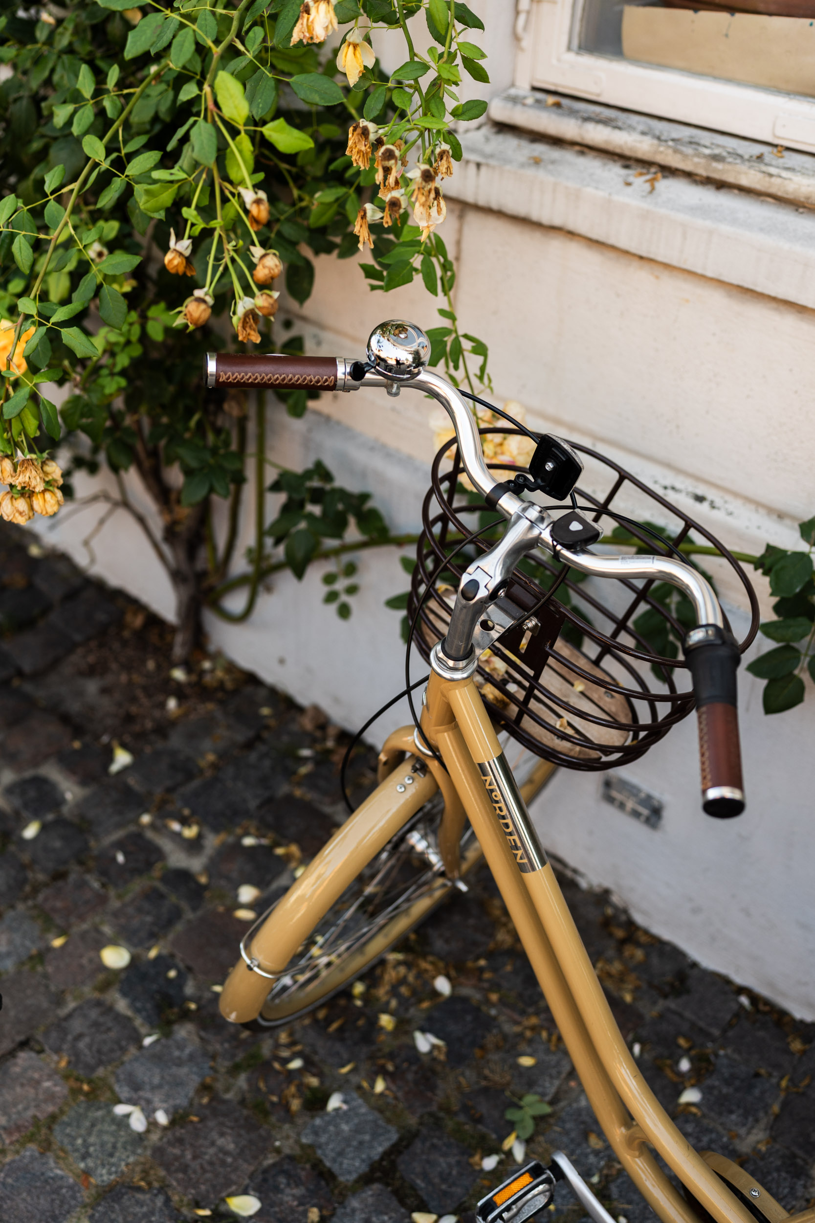 Style & Senses An Trieu Copenhagen Stockholm Amsterdam September 2025 Europe travel NYC NYBORDER NYHAVN bikes biking