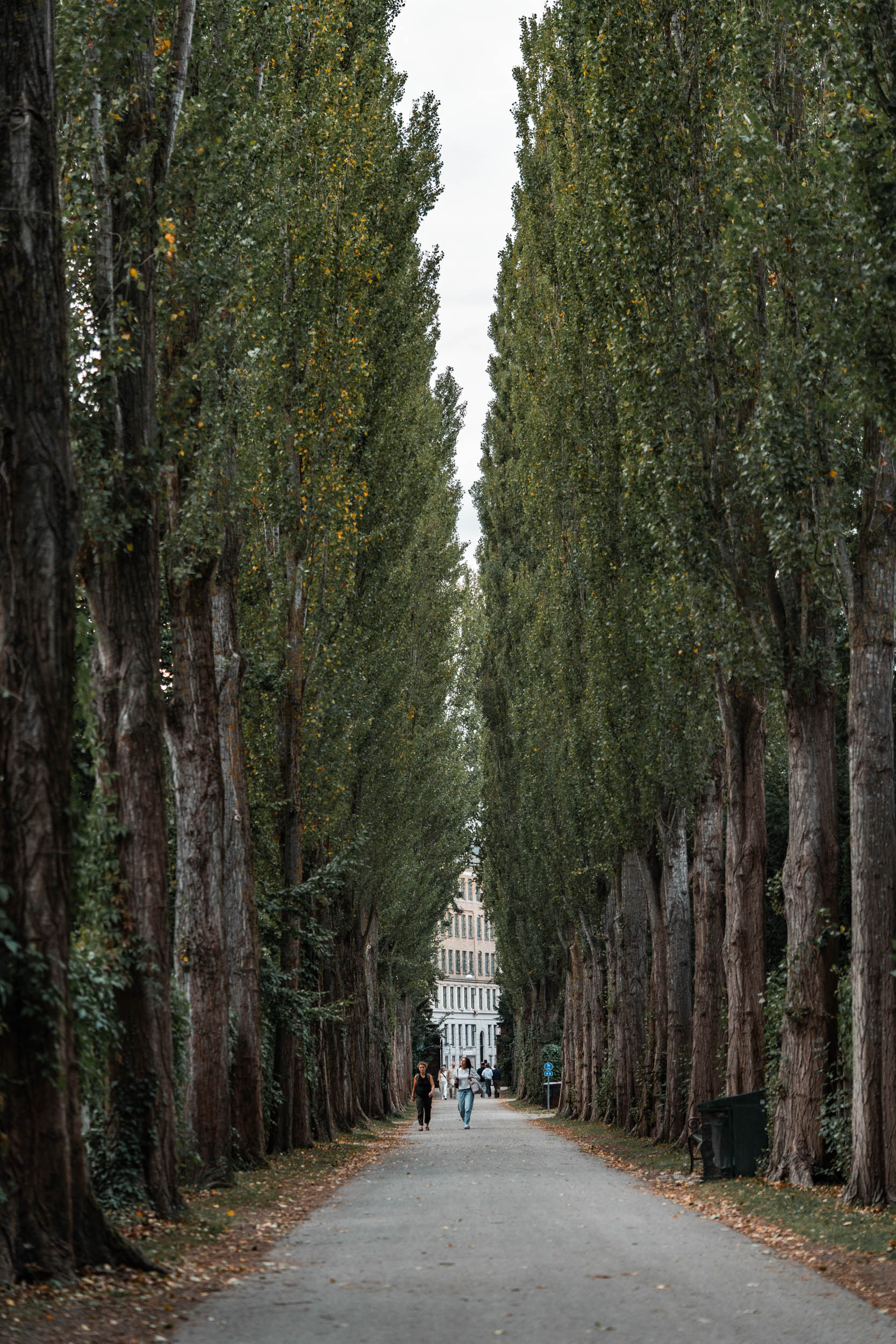 Style & Senses An Trieu Copenhagen Stockholm Amsterdam September 2025 Europe travel NYC NYBORDER NYHAVN bikes biking Grundtvig's Church architecture design space Assistens Cemetery